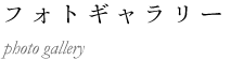 フォトギャラリー