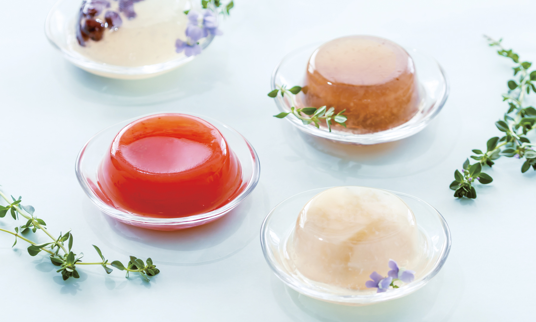 にいがた涼菓撰12ヶ入れ
